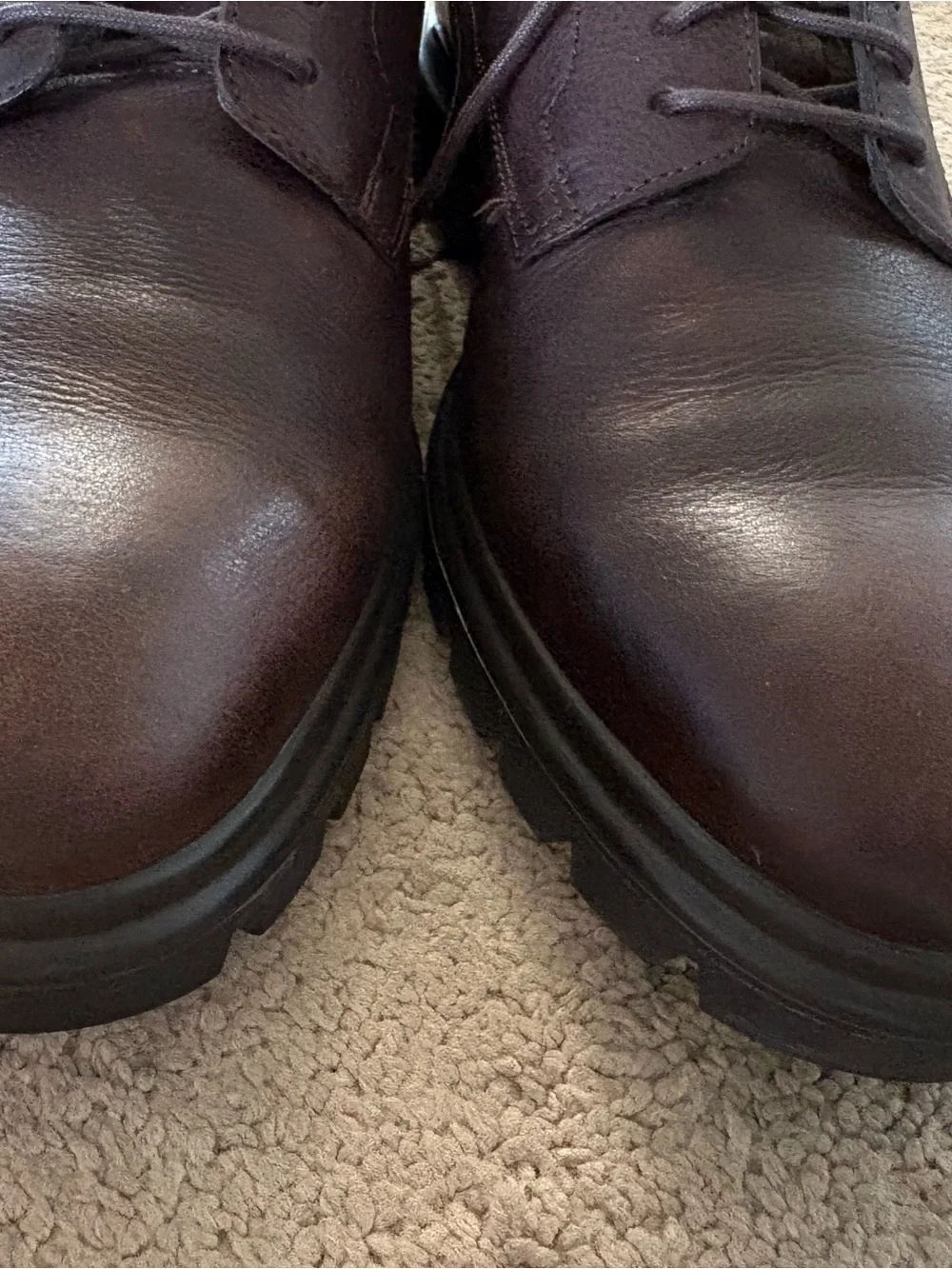Ecco this pair